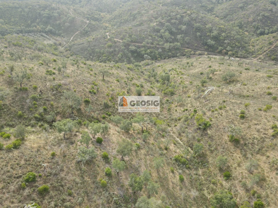 Terreno Agricola ou Rústico para Venda em São Barnabe Foto 7