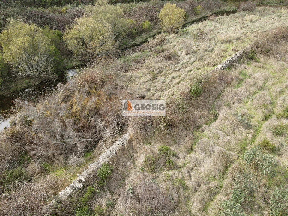 Terreno Agricola ou Rústico para Venda em São Barnabe Foto 16