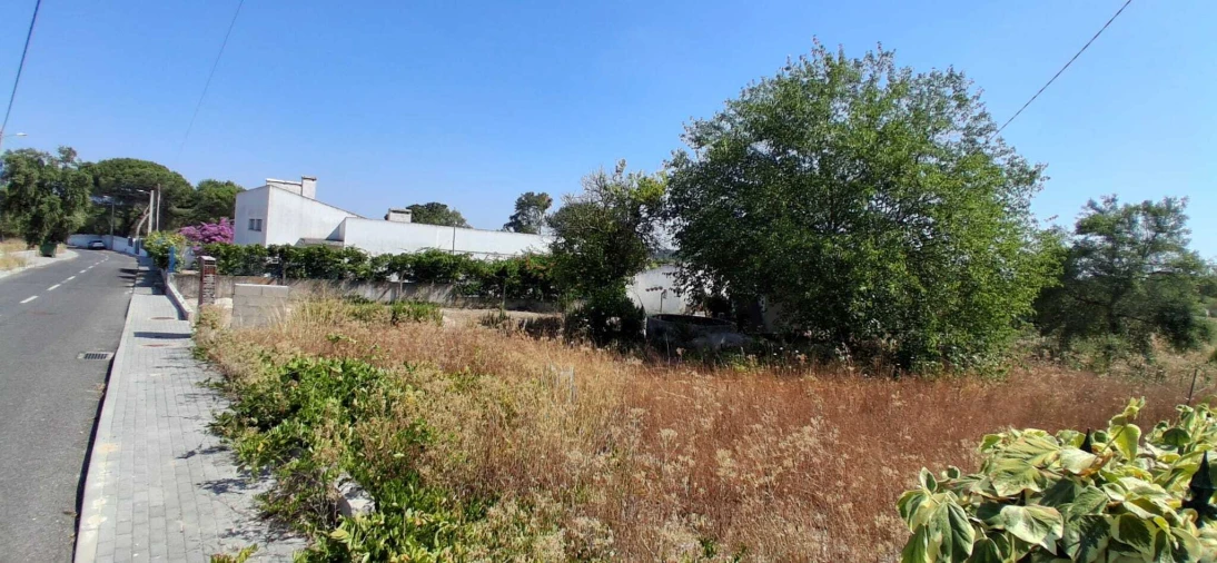 Terreno para Venda em Coruche, Fajarda e Erra Foto 4