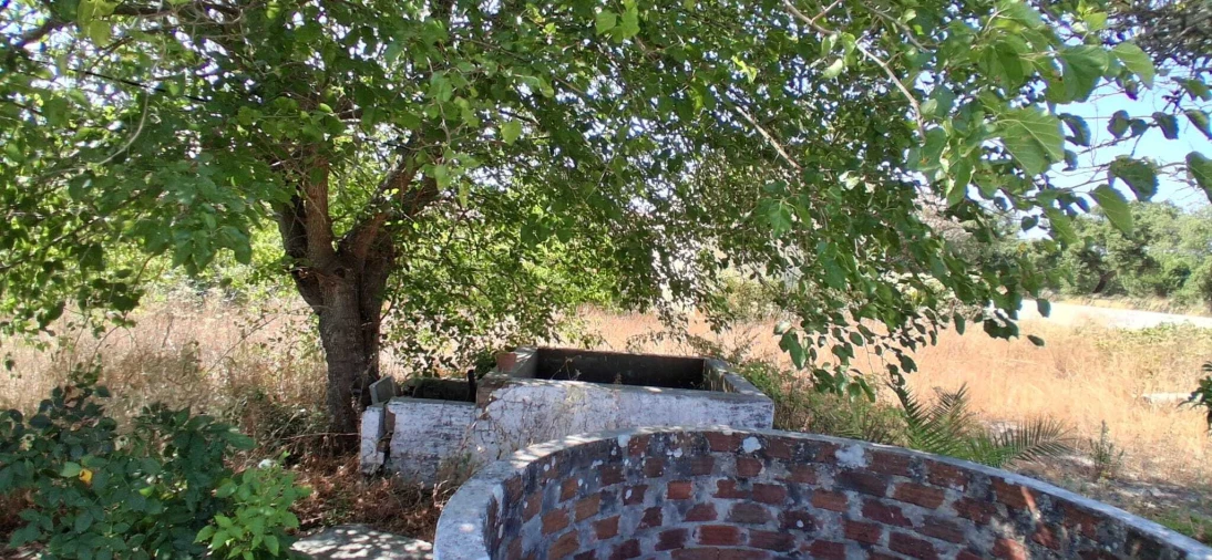 Terreno para Venda em Coruche, Fajarda e Erra Foto 6