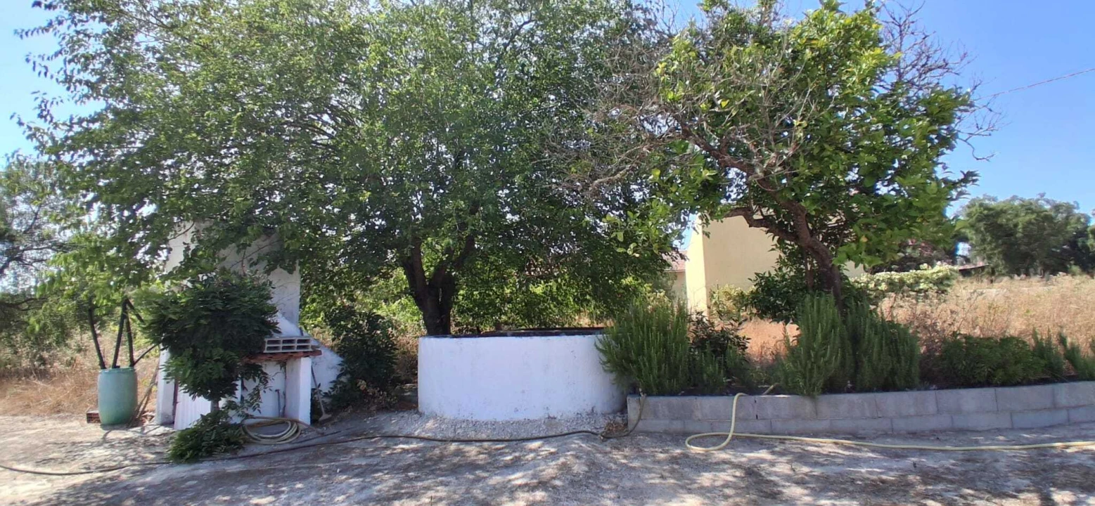 Terreno para Venda em Coruche, Fajarda e Erra Foto 1