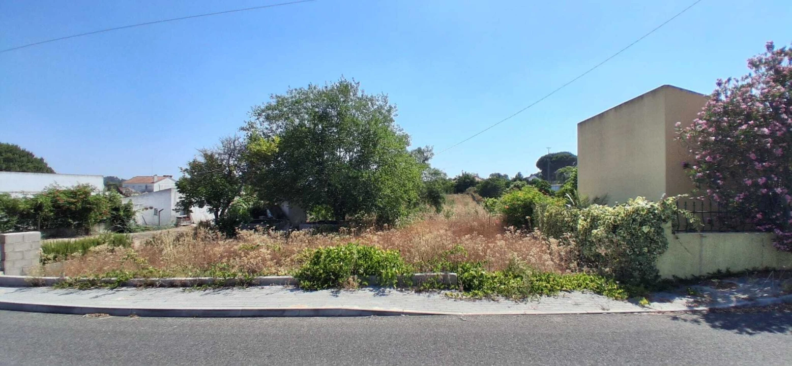 Terreno para Venda em Coruche, Fajarda e Erra Foto 3
