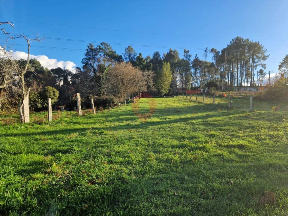 Moradia T3 para Venda em Troporiz e Lapela Foto 12