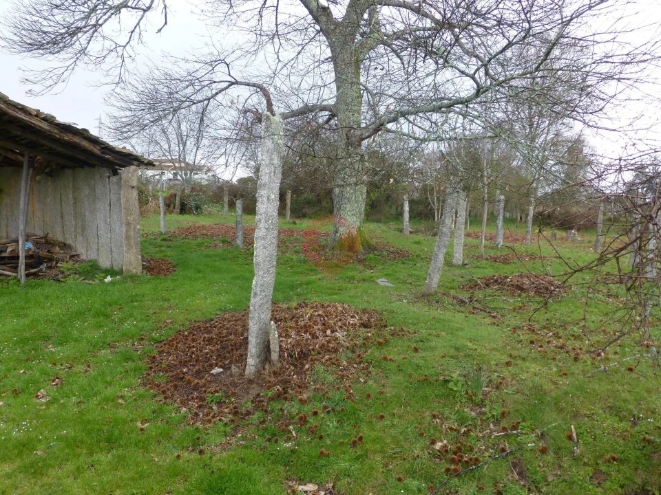 Moradia T3 para Venda em Troporiz e Lapela Foto 11