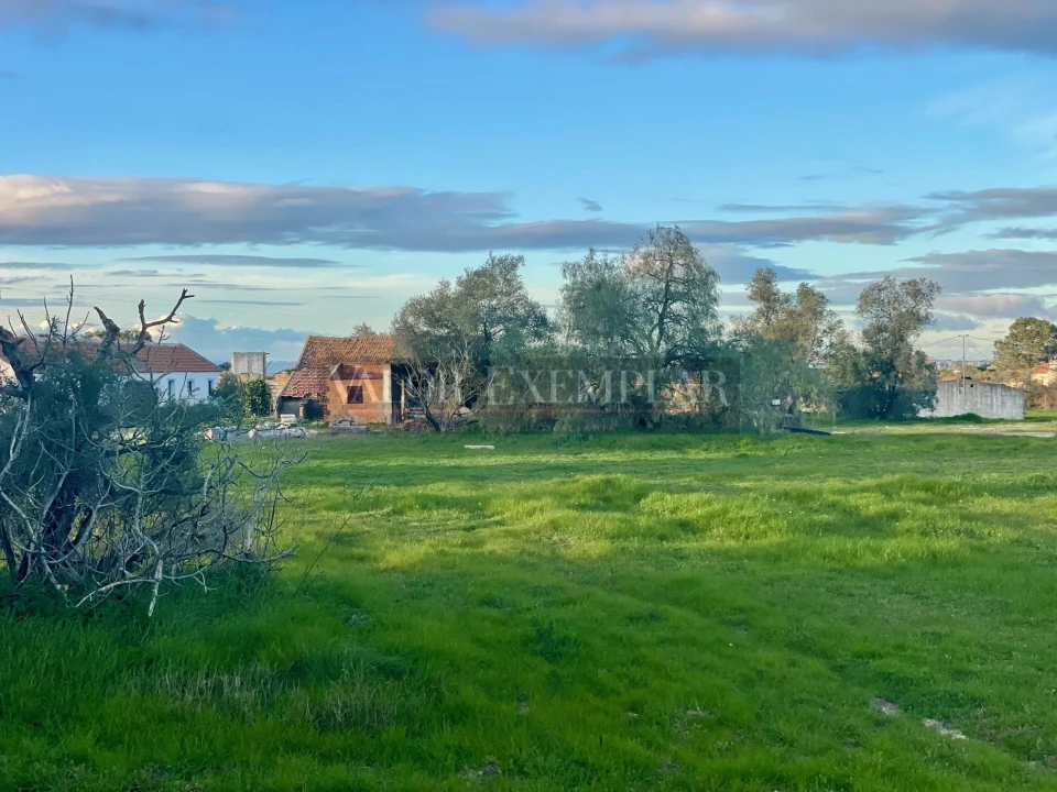 Terreno para Venda em Sarilhos Grandes Foto 13