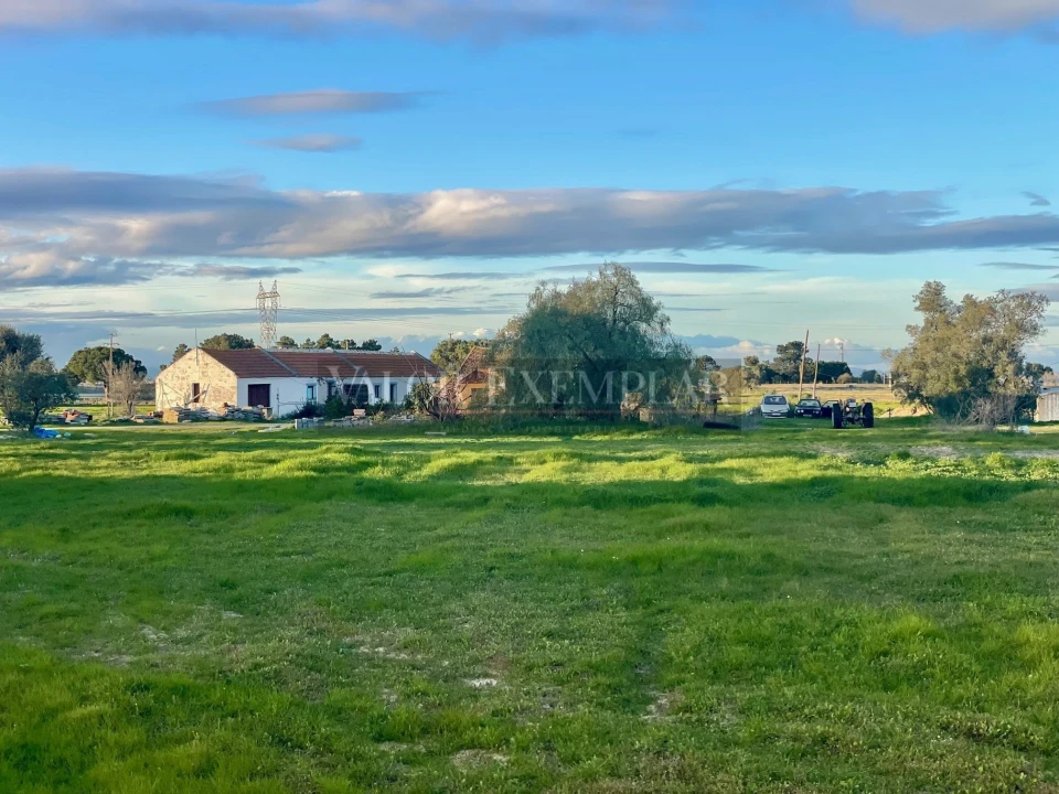 Terreno para Venda em Sarilhos Grandes Foto 1