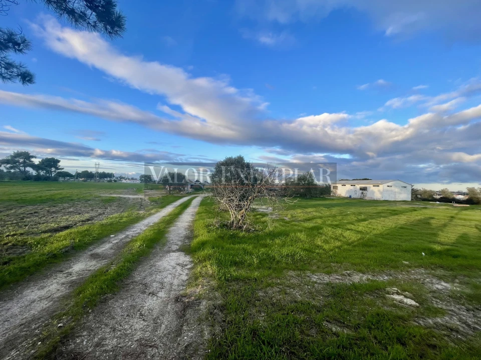 Terreno para Venda em Sarilhos Grandes Foto 10