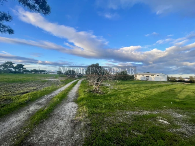 Terreno para Venda em Sarilhos Grandes Foto 10