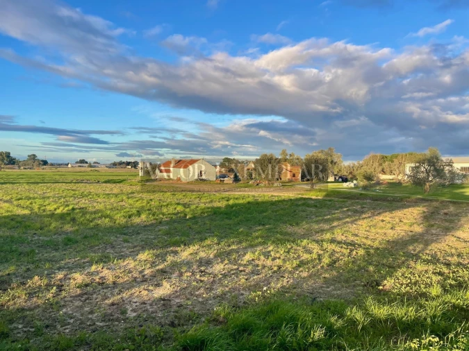 Terreno para Venda em Sarilhos Grandes Foto 3