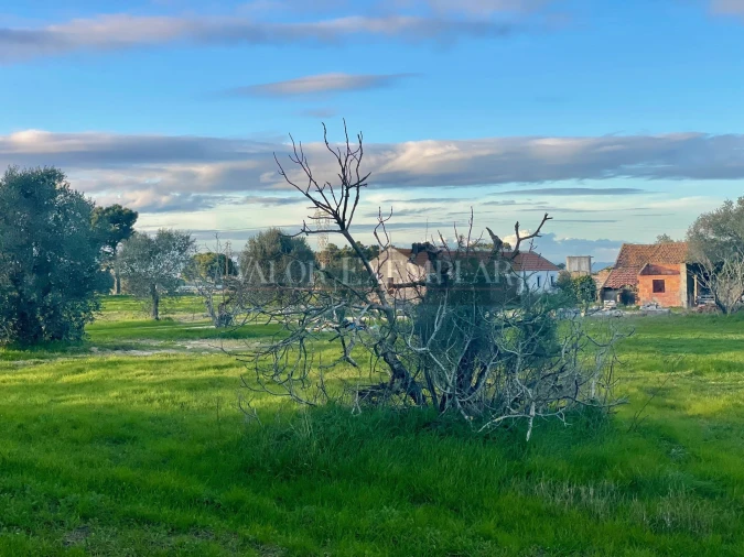 Terreno para Venda em Sarilhos Grandes Foto 14