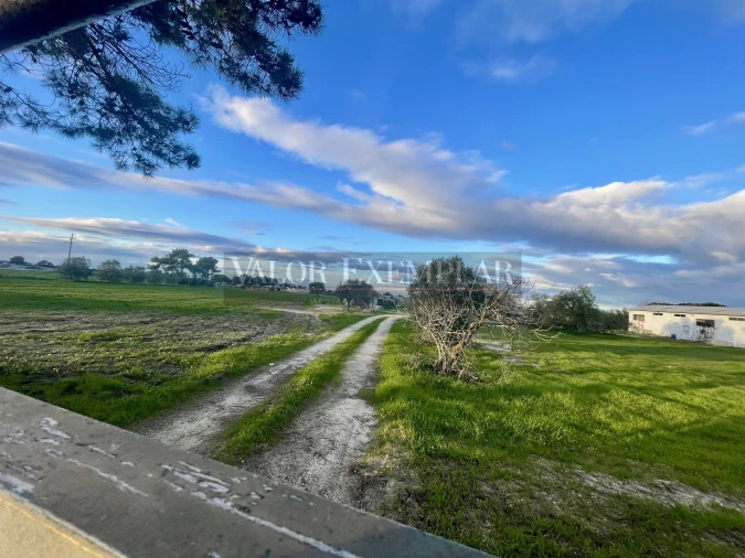 Terreno para Venda em Sarilhos Grandes Foto 9