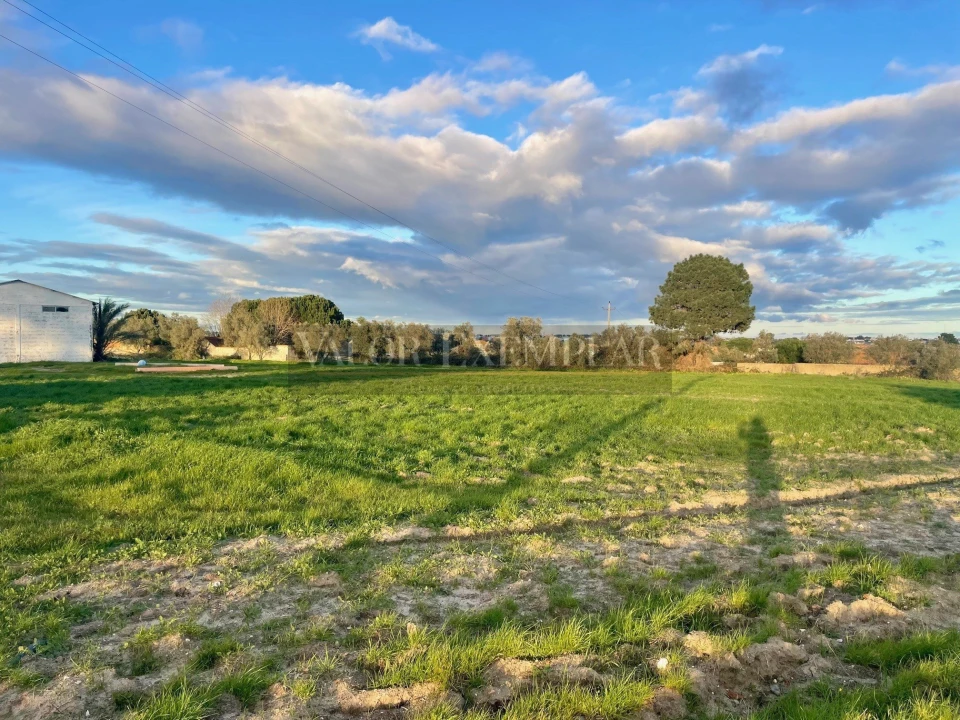 Terreno para Venda em Sarilhos Grandes Foto 2