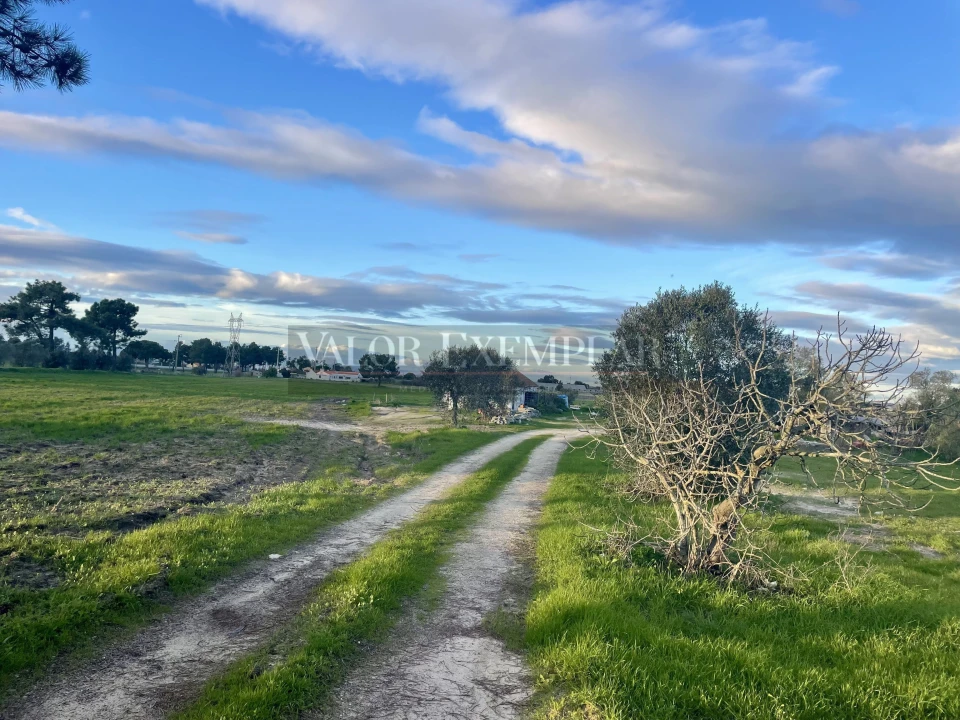 Terreno para Venda em Sarilhos Grandes Foto 8