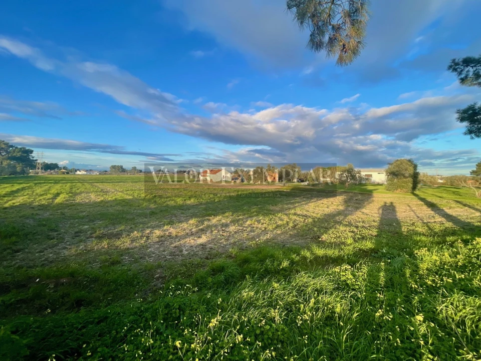 Terreno para Venda em Sarilhos Grandes Foto 6