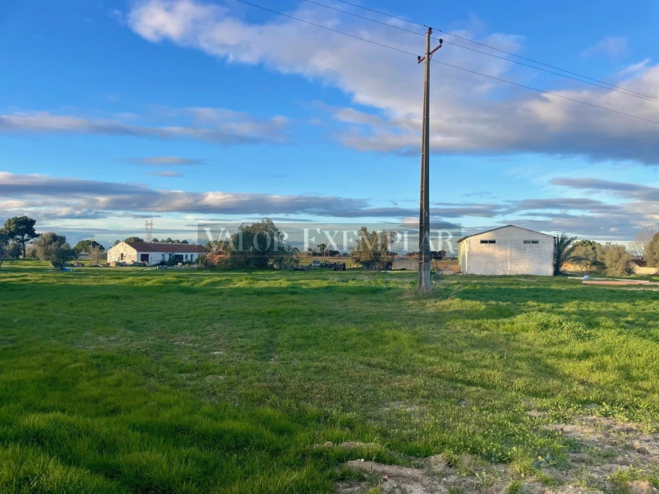 Terreno para Venda em Sarilhos Grandes Foto 16