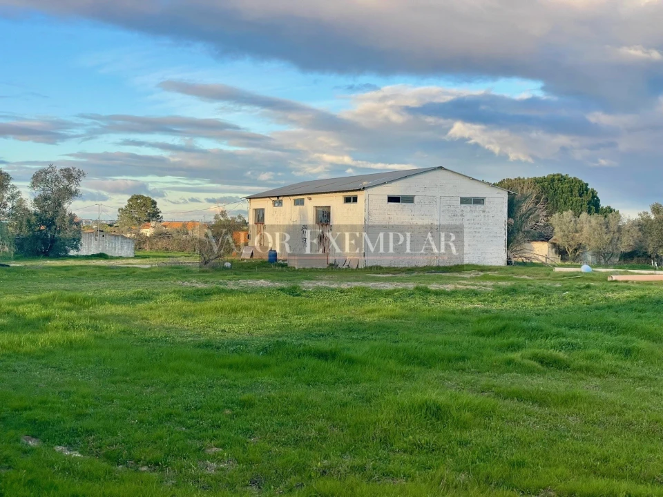 Terreno para Venda em Sarilhos Grandes Foto 11