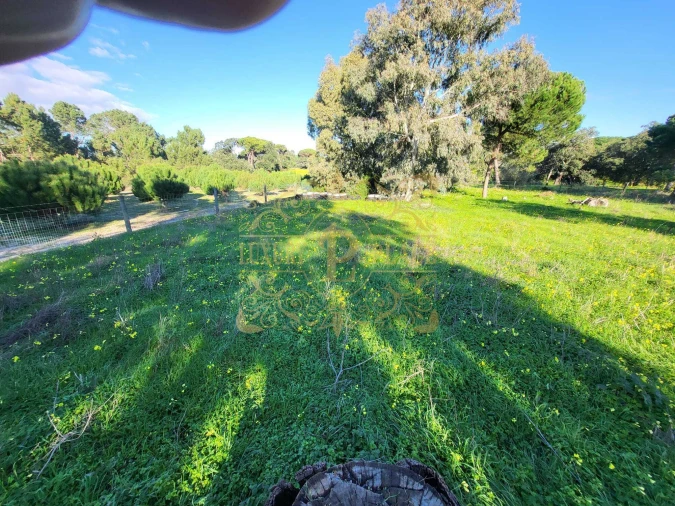 Terreno para Venda em Sesimbra (Castelo) Foto 5