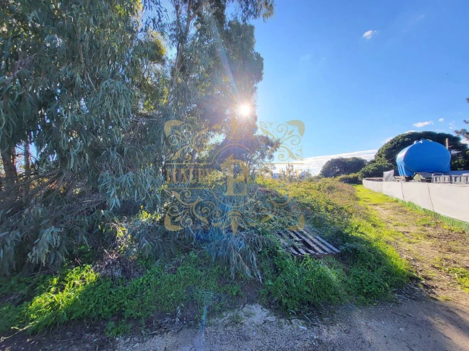 Terreno para Venda em Sesimbra (Castelo) Foto 6
