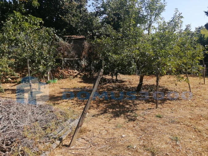 Moradia para Venda em Mateus Foto 15