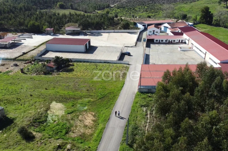 Terreno Comércio / Armazém para Venda em Maxial e Monte Redondo Foto 2