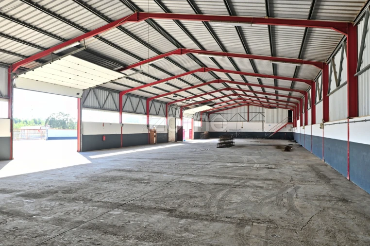 Terreno Comércio / Armazém para Venda em Maxial e Monte Redondo Foto 12