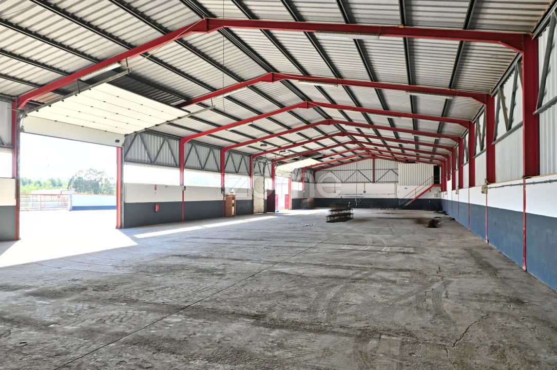 Terreno Comércio / Armazém para Venda em Maxial e Monte Redondo Foto 12