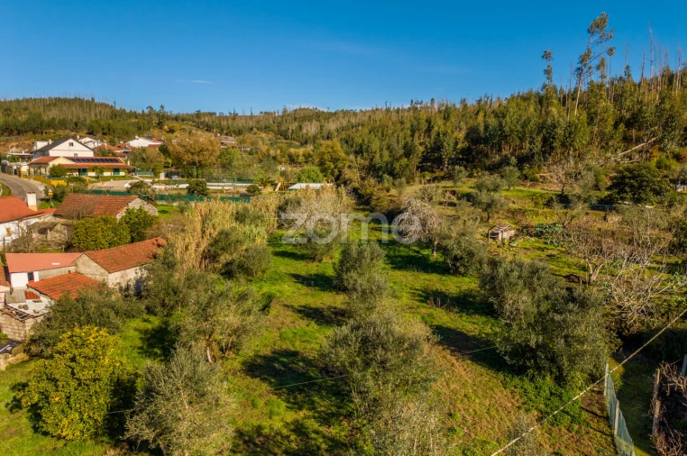 Terreno para Venda em Urqueira Foto 9