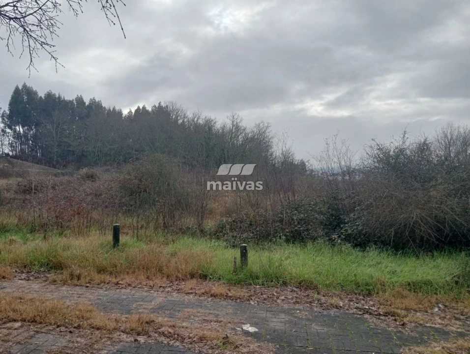 Terreno para Venda em Paço Foto 7