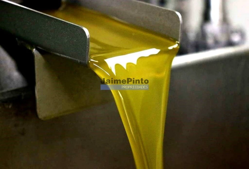 Prédio para Venda em Vila Nova de Foz Côa Foto 1