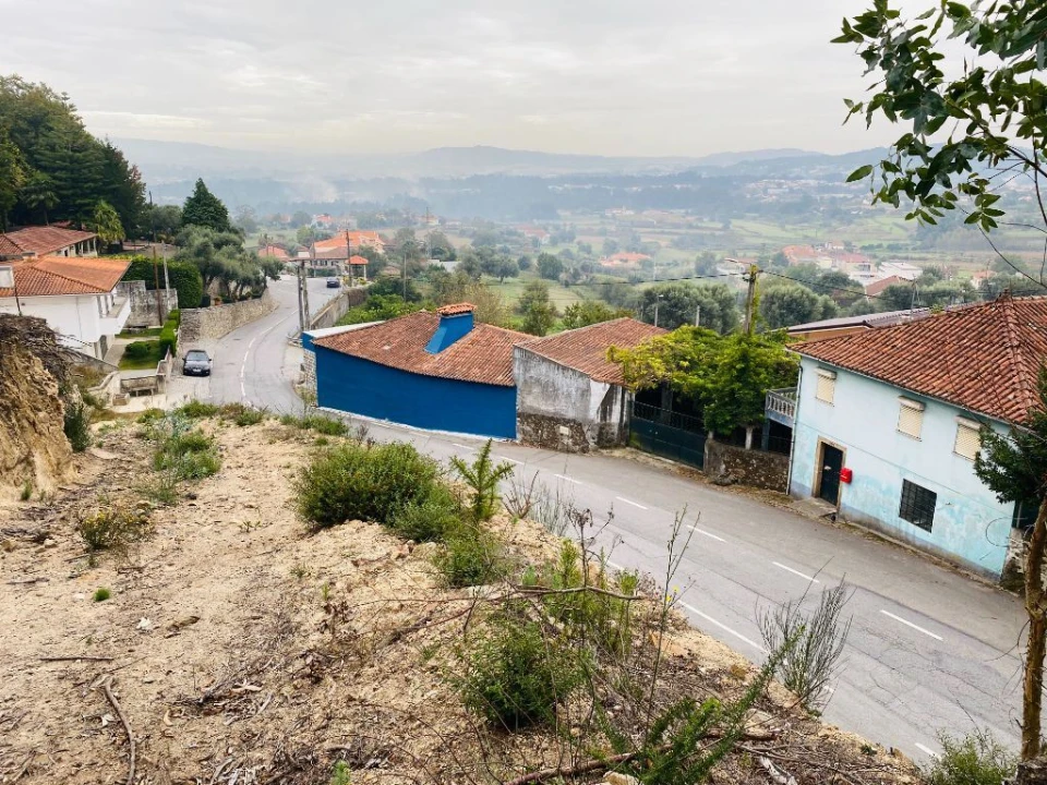 Terreno Misto para Venda em Campo e Tamel (São Pedro Fins) Foto 2