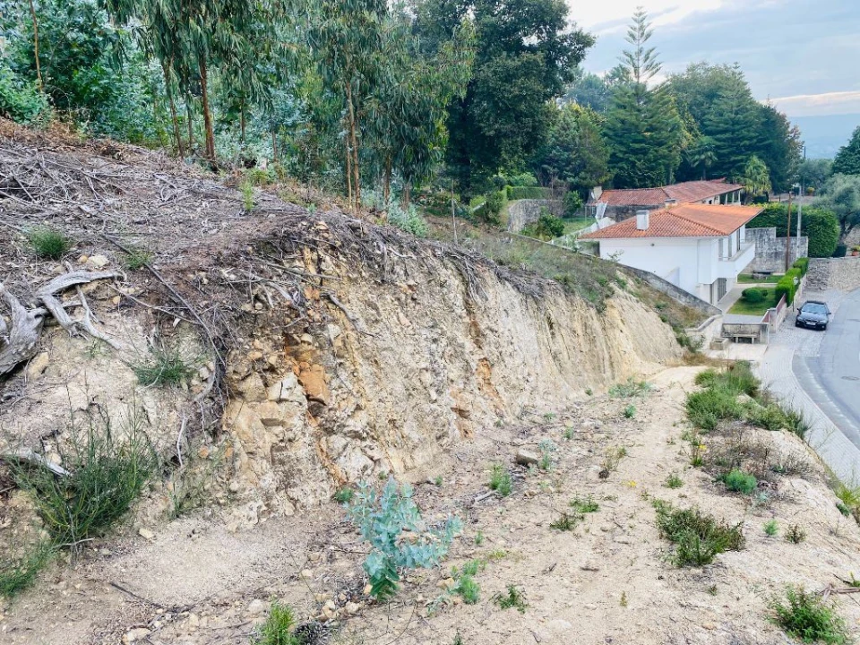 Terreno Misto para Venda em Campo e Tamel (São Pedro Fins) Foto 3