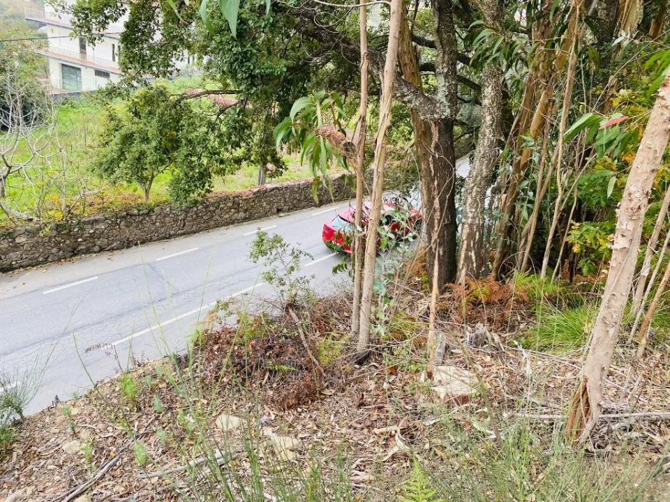 Terreno Misto para Venda em Campo e Tamel (São Pedro Fins) Foto 8