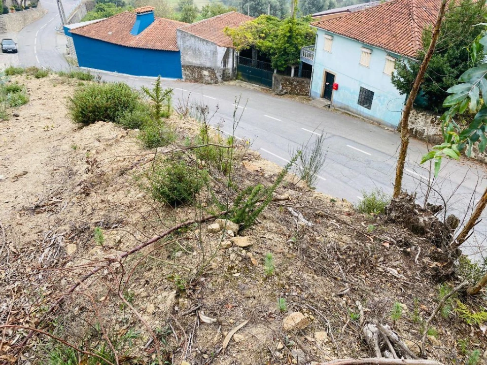 Terreno Misto para Venda em Campo e Tamel (São Pedro Fins) Foto 9