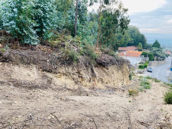 Terreno Misto para Venda em Campo e Tamel (São Pedro Fins) Foto 7