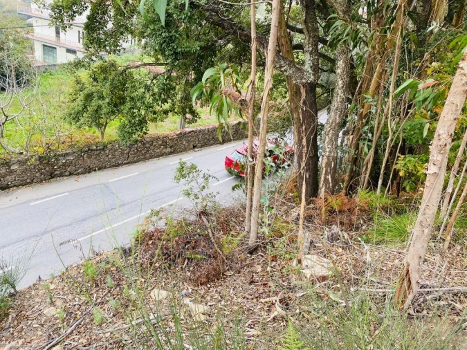 Terreno Misto para Venda em Campo e Tamel (São Pedro Fins) Foto 8
