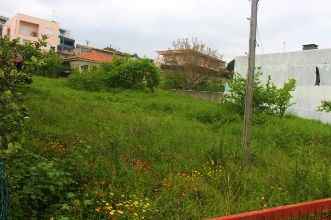 Terreno para Venda em Abade de Neiva Foto 7