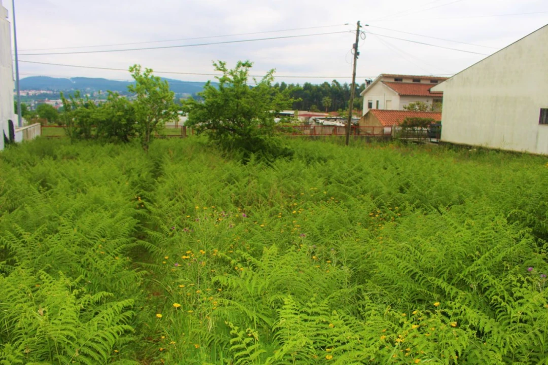 Terreno para Venda em Abade de Neiva Foto 5