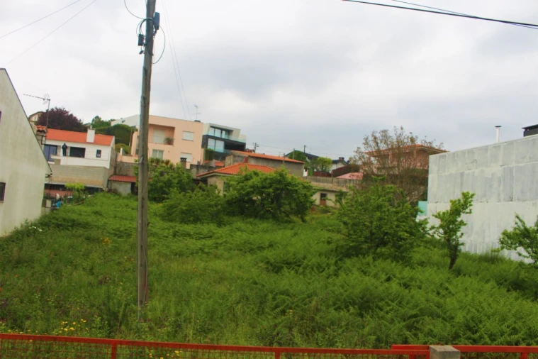 Terreno para Venda em Abade de Neiva Foto 12