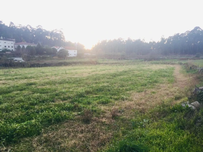 Terreno Agricola ou Rústico para Venda em Perelhal Foto 4