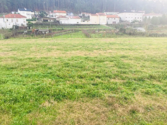 Terreno Agricola ou Rústico para Venda em Perelhal Foto 6