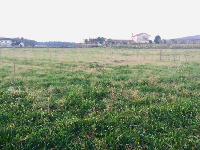 Terreno Agricola ou Rústico para Venda em Perelhal Foto 13
