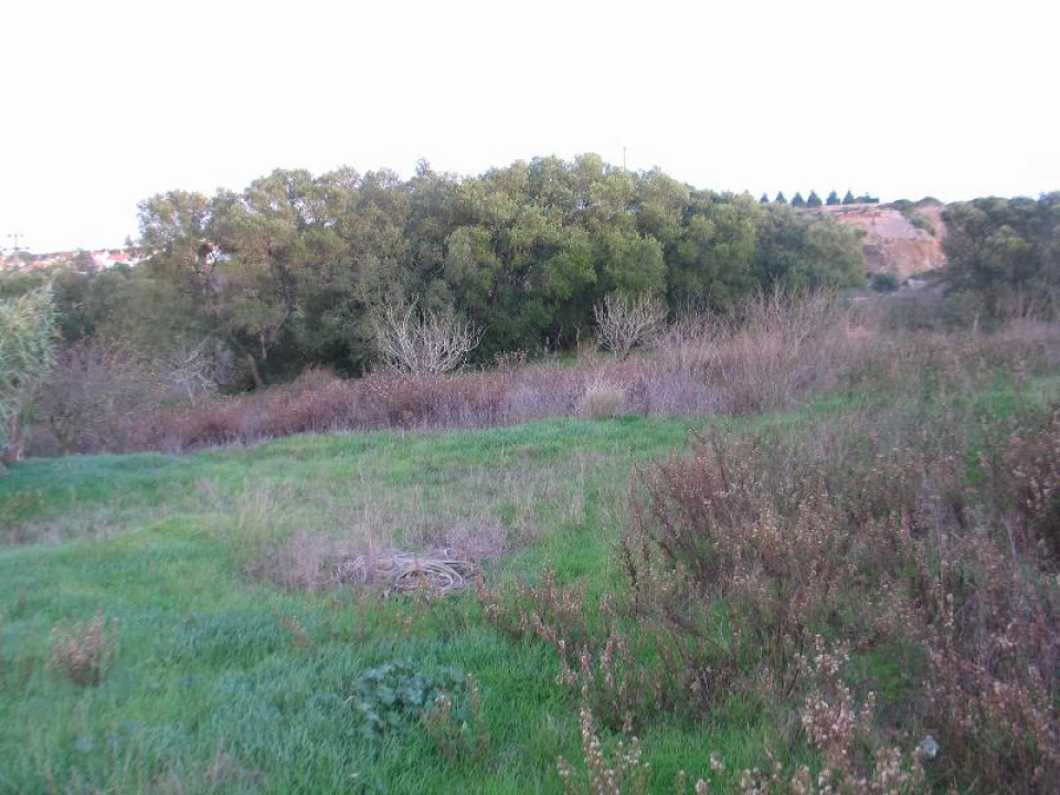 Terreno para Venda em Sesimbra (Castelo) Foto 2