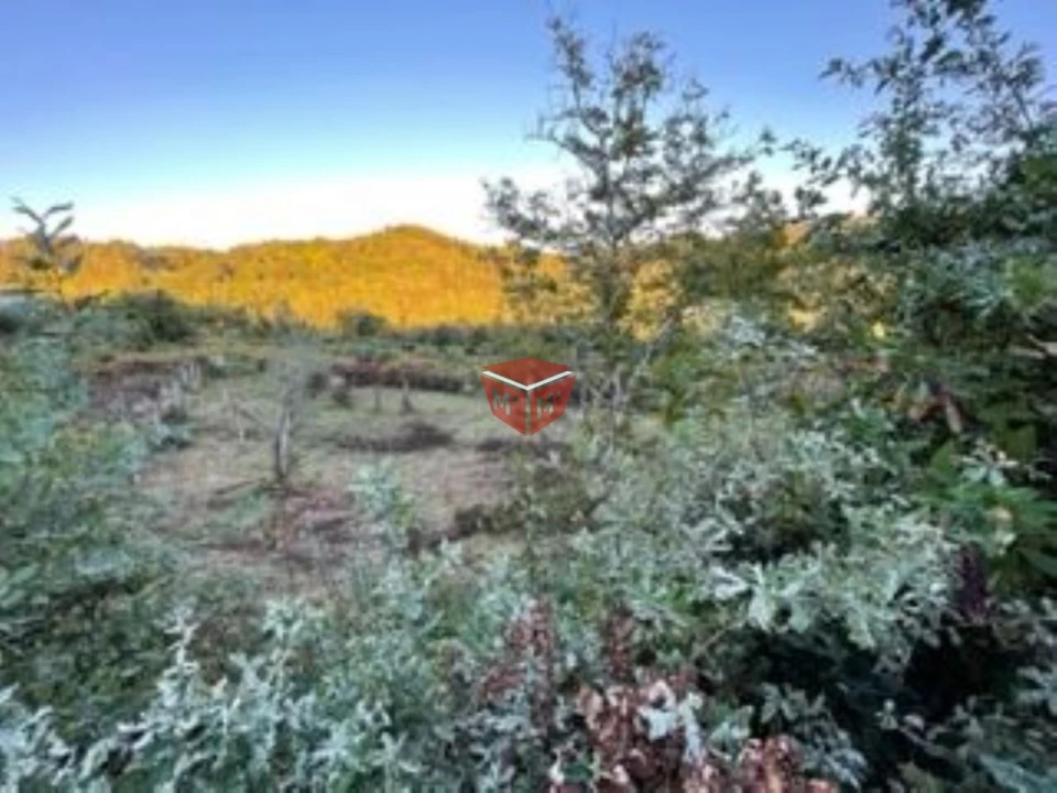 Terreno para Venda em Selho São Lourenço e Gominhães Foto 3