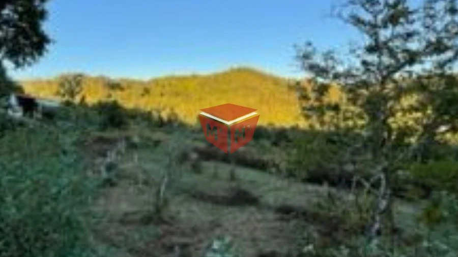 Terreno para Venda em Selho São Lourenço e Gominhães