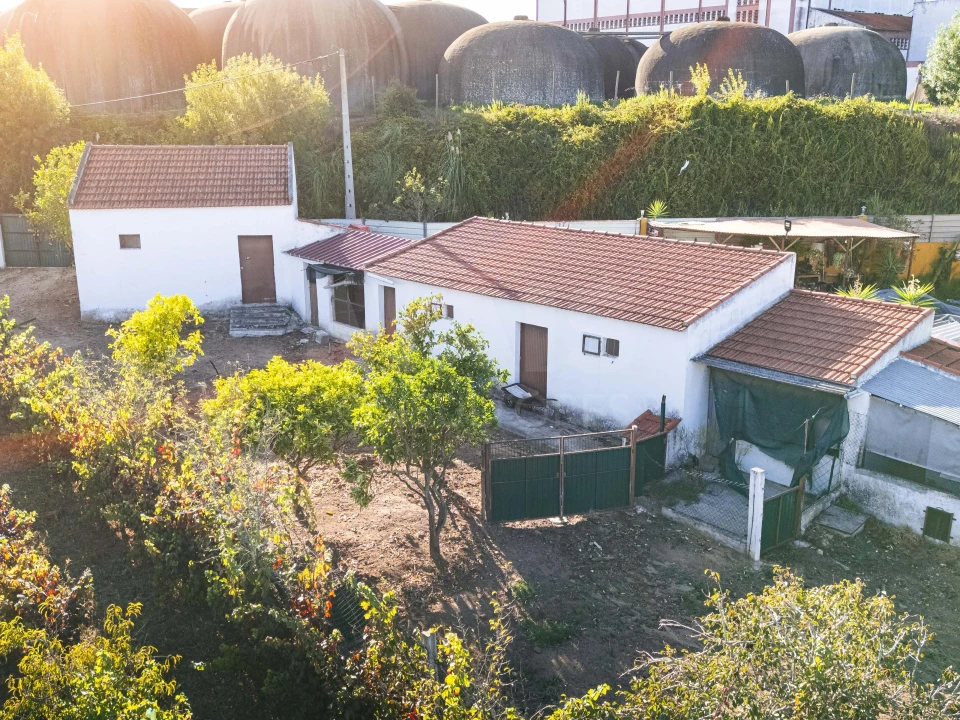 Moradia T1 para Venda em Cadaval e Pêro Moniz Foto 10