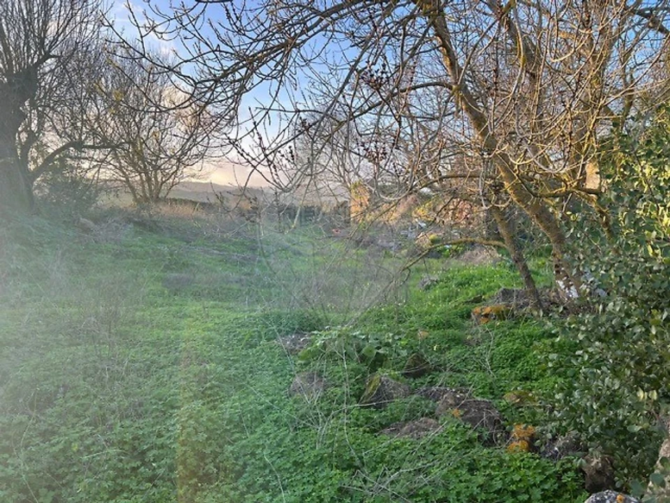 Quinta T0 para Venda em Cardosas Foto 6