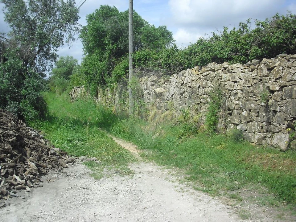 Quinta T0 para Venda em Cardosas Foto 30
