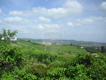 Quinta T0 para Venda em Cardosas