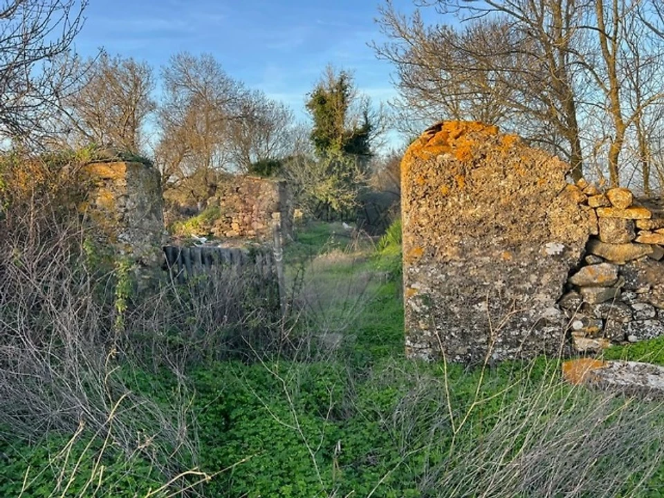 Quinta T0 para Venda em Cardosas Foto 4