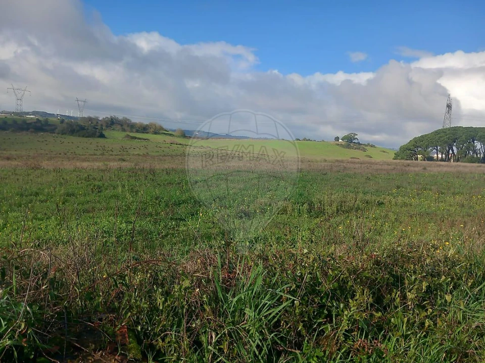 Quinta T0 para Venda em Cardosas Foto 15